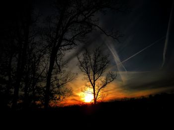 Silhouette trees against sky during sunset