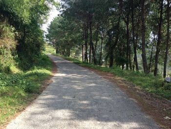 Empty road along trees