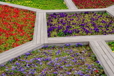 Flowers for sale at market stall