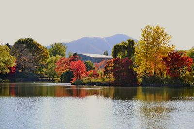 Scenic view of lake by trees against clear sky