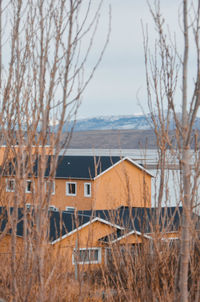 Empty chairs and tables by bare trees against sky