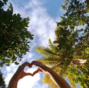 Low angle view of tree against sky