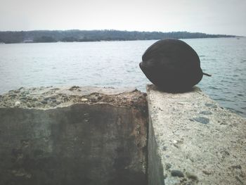 Boy looking at lake against sky