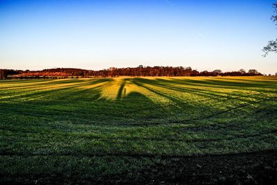 Scenic view of field against clear sky