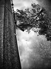 Low angle view of trees against cloudy sky