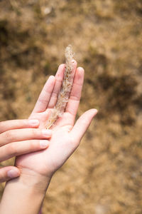 Close-up of hand holding hands