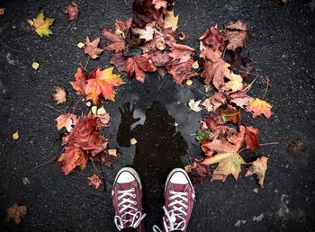 Low section of person standing on fallen leaves