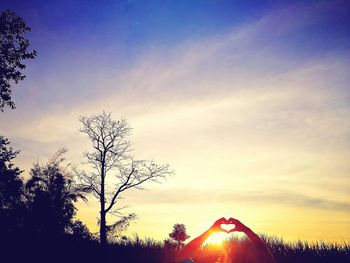 Silhouette trees against sky during sunset