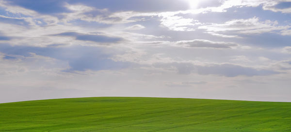 Green field, blue sky and bright sun