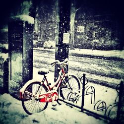 winter