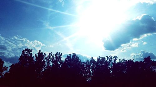 Low angle view of silhouette trees against blue sky