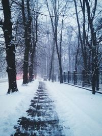 Bare trees on snow covered road