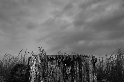 Wooden post on field against sky