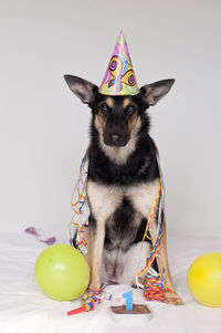 Multi colored balloon sitting on ball against gray background