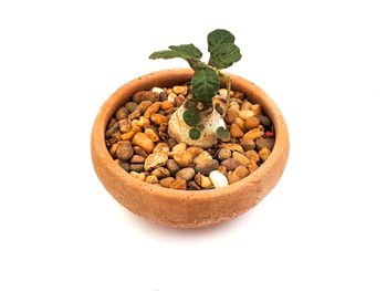 High angle view of bread in container against white background