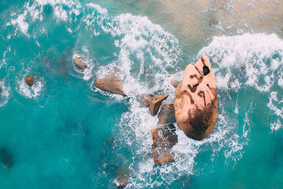 High angle view of man swimming in sea