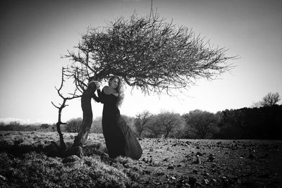 Bare trees on grassy field