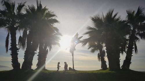 People standing by palm trees against sky