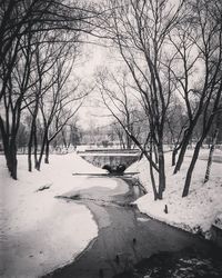 Scenic view of snow covered landscape