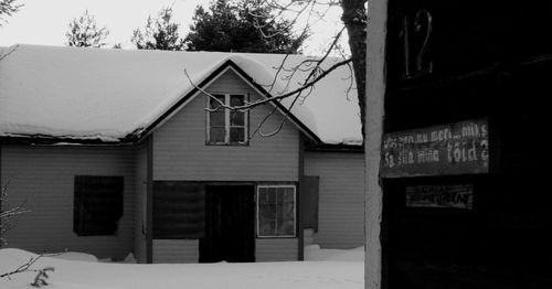 House with trees in background