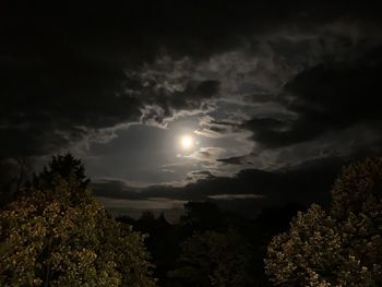 Low angle view of trees against sky at night