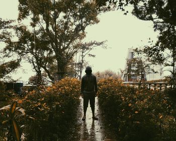 Rear view of man walking by plants