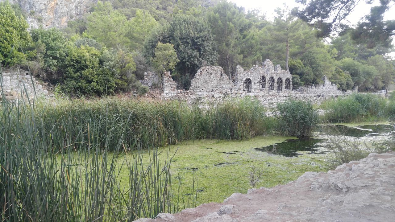 SCENIC VIEW OF ARCH BRIDGE OVER RIVER