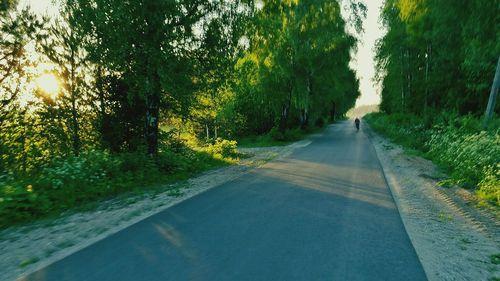 Empty road along trees