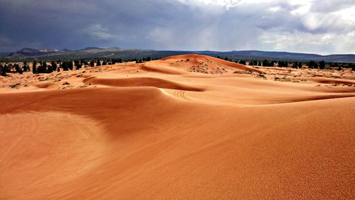 Scenic view of desert