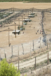 High angle view of agricultural field