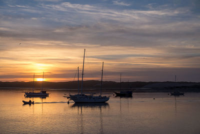 Sailboats moored in marina at sunset