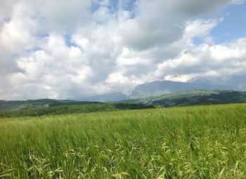 Scenic view of grassy field against cloudy sky