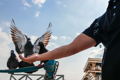 Midsection of man holding pigeon