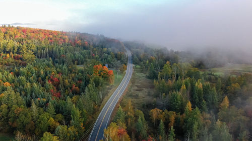 Highway through picturesque forest in white fog. atmospheric autumn landscape. travel, ecotourism