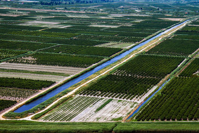 Full frame shot of agricultural field