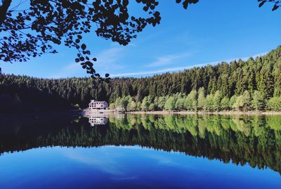 Reflection of trees in lake against sky