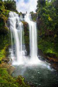 Scenic view of waterfall in forest