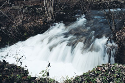 Scenic view of waterfall in forest
