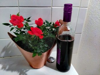 Close-up of hand holding potted plant on table