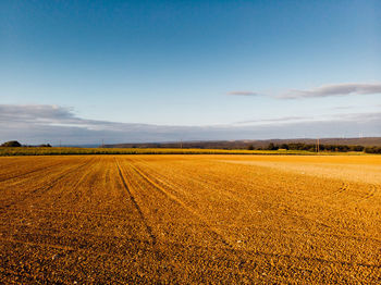 Scenic view of agricultural field against blue sky