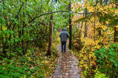 Rear view of man walking on footpath in forest