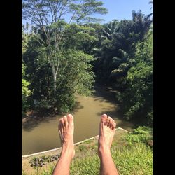 Low section of woman relaxing on tree trunk