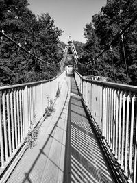 View of footbridge in forest