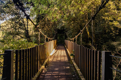 Rear view of woman walking on footbridge