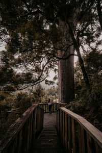 People walking on footbridge