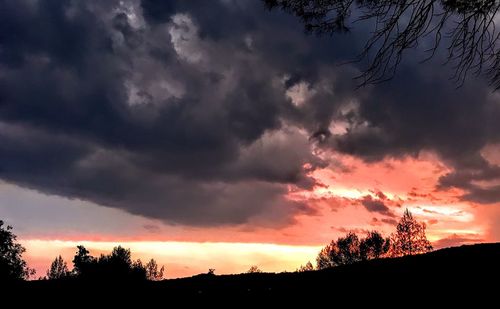Low angle view of silhouette trees against dramatic sky