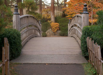 Steps amidst trees during autumn