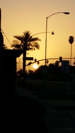 Silhouette of trees at sunset