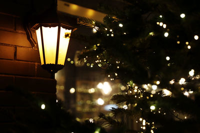 Low angle view of illuminated christmas tree at night