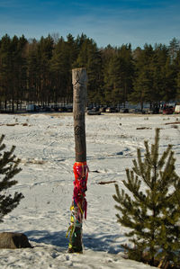 Rear view of wood idol standing on snow